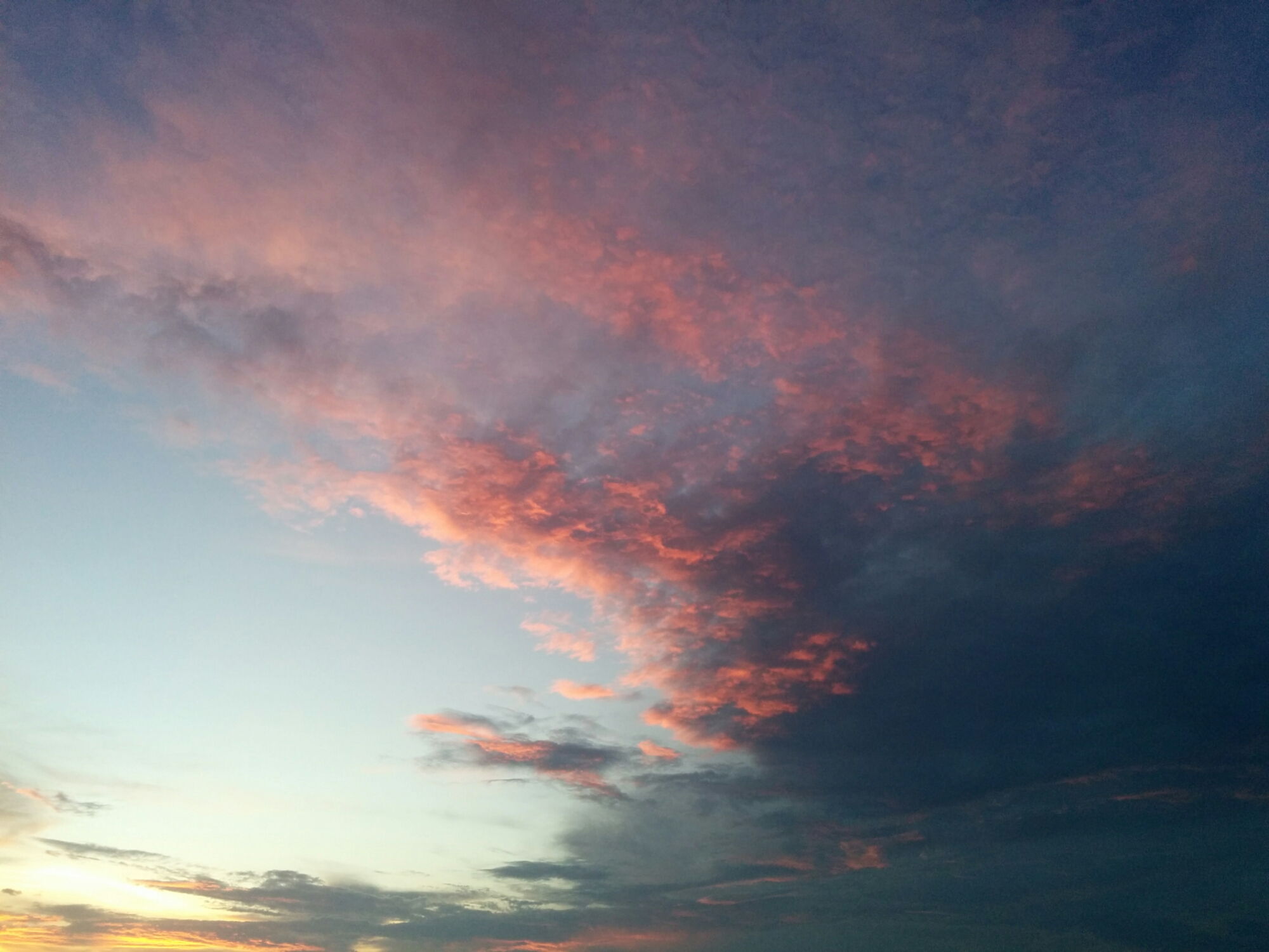 wp-1459772280438 image